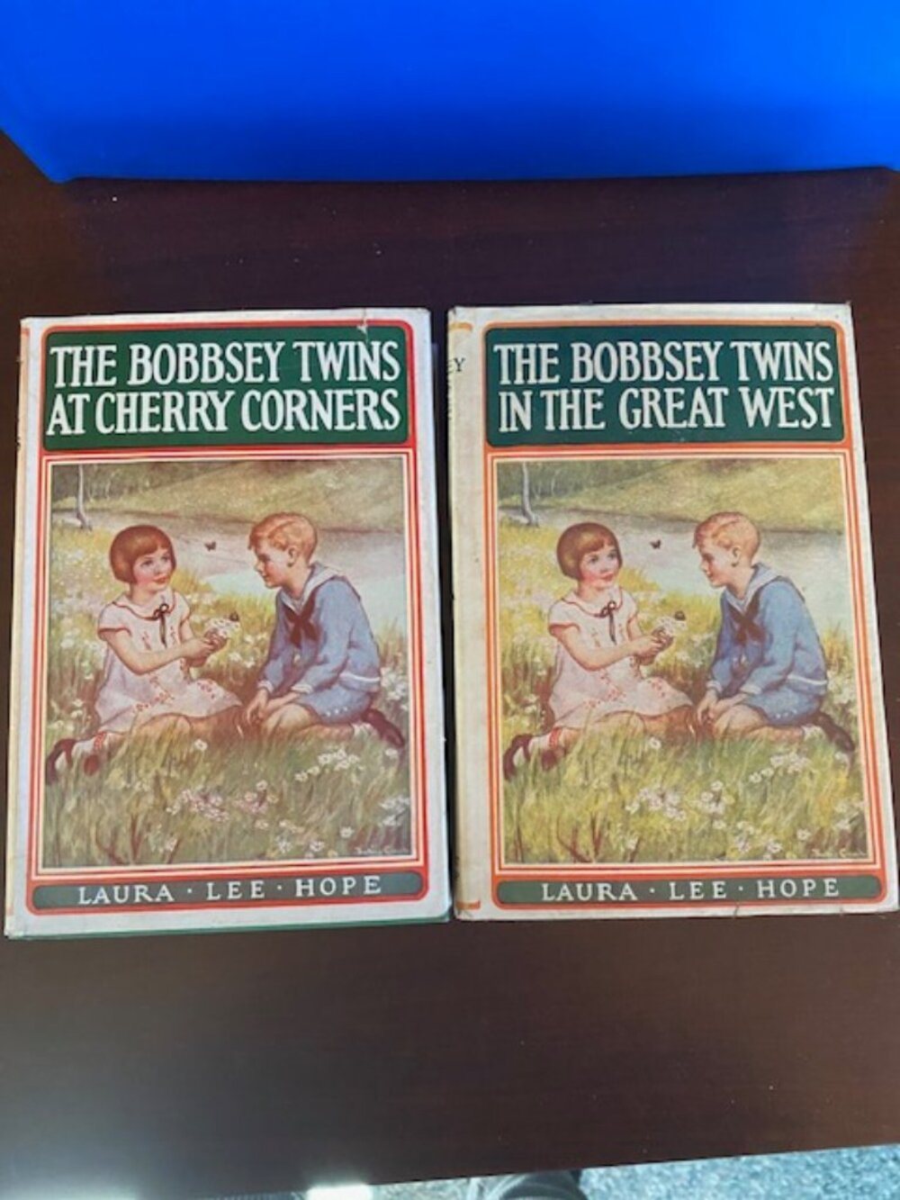 Antique The Bobbsey Twins In the Great West 1920 and At Cherry Corners 1927 DJHC